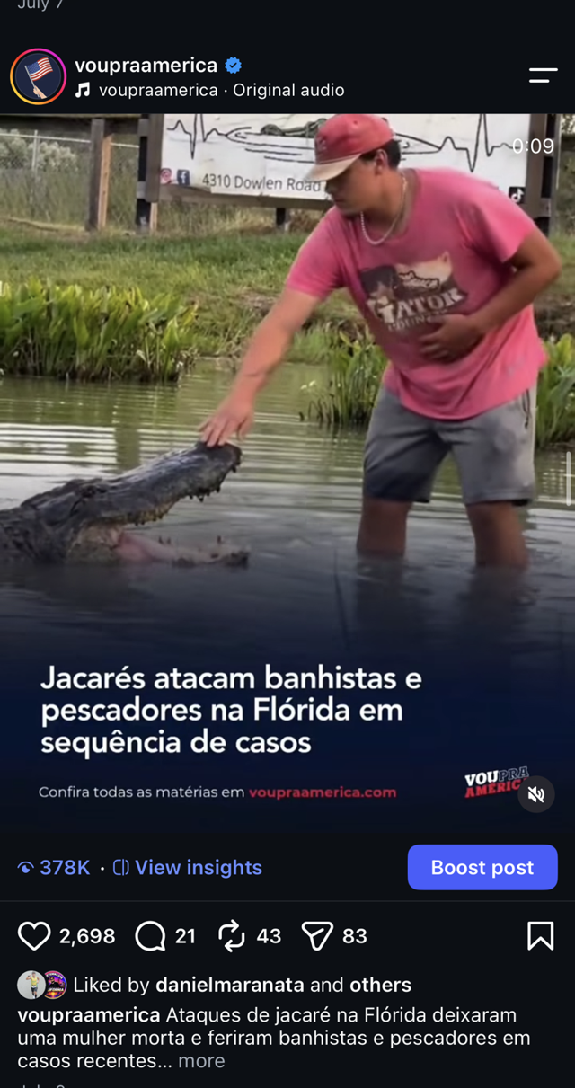 Ataques de jacaré na Flórida